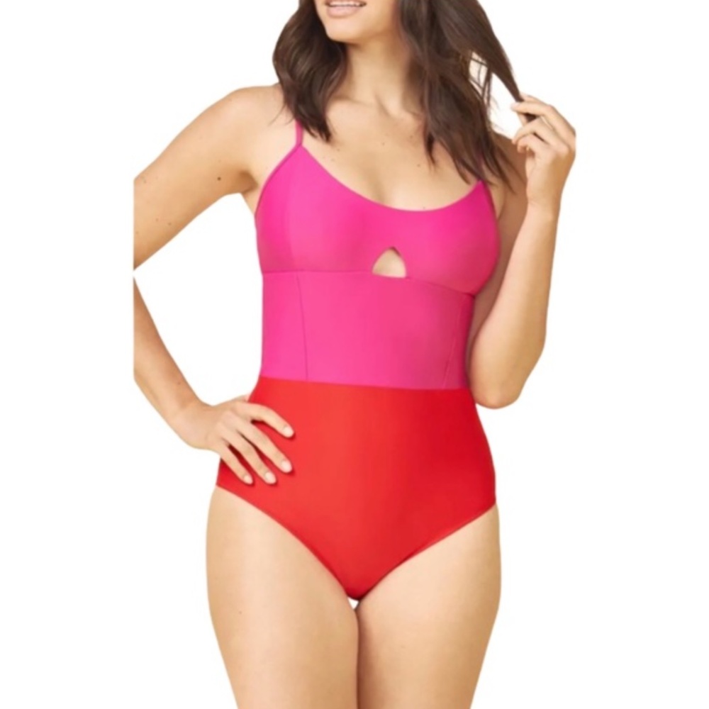 Summersalt The Swan Dive One Piece Swimsuit 14